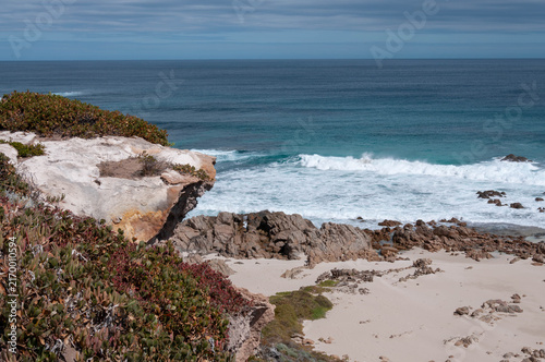 Photography Native groundcover frames a rugged shoreline with pale sand, dark rocks and roll