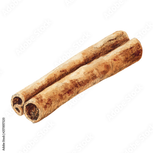 Cinnamon, watercolor design element isolated on white background