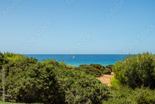 La Barrosa beach in Sancti Petri, Cadiz, Spain, in august 2026