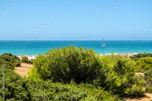 La Barrosa beach in Sancti Petri, Cadiz, Spain, in august 2026