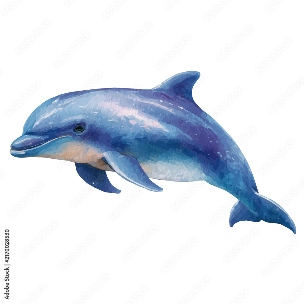 Obraz premium Porpoise, isolated watercolor element on white background