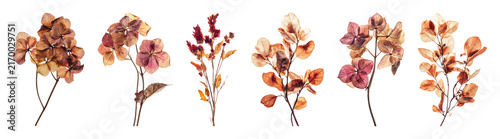 PNG Vintage dried flowers in autumn hues, transparent background