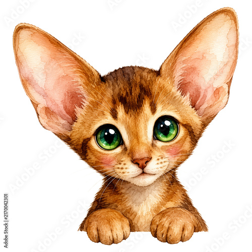 cat