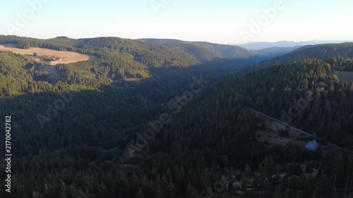 Smooth aerial view over lush green countryside with open fields, dense trees, winding rural roads and peaceful natural scenery in bright daylight.