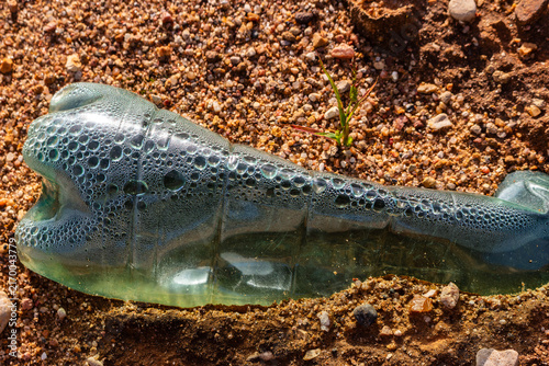 Foto Close-up of a discarded plastic bottle lying on dry ground, featuring a detailed