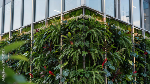 Foto Lush Green Living Wall on Modern Building Facade with Water Droplets