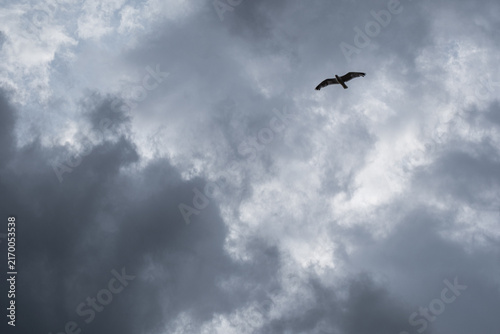 dark dramatic sky. stormy clouds. before the storm. stratus clouds.