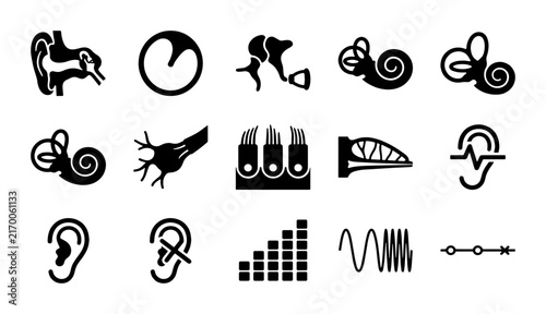 Foto Human ear anatomy icons, 15 medical hearing and otology vector symbols, black co