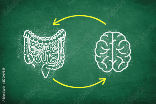 Gut Brain Connection Concept. The Brain And Digestive System, Mental Health And Microbiome Balance.	
