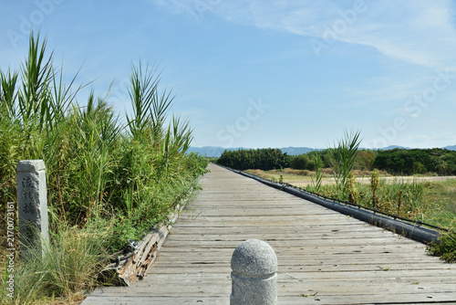 快晴の流れ橋　夏季(京都府八幡市)