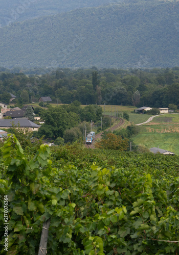 Scenic view green nature while train traveling through lush green vineyards and countryside in Rhone Alpes region of France with mountains in background.