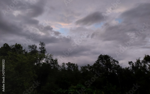 Dark stormy clouds in sky background, nature photography, sunset scenery view, silhouette of trees wallpaper 
