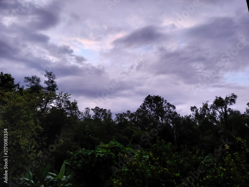 Dark stormy clouds in sky background, nature photography, sunset scenery view, silhouette of trees wallpaper 