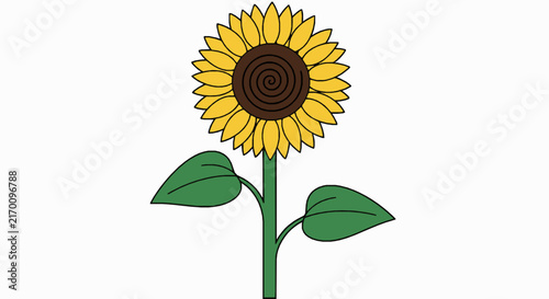 Three yellow sunflower illustrations with green leaves isolated on white background for design with brown centers isolated