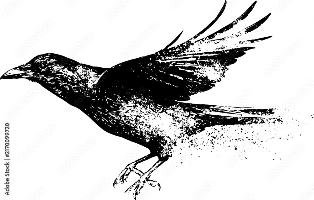 Naklejka premium Grunge black and white stencil of flying crow in motion for poster and nature background design