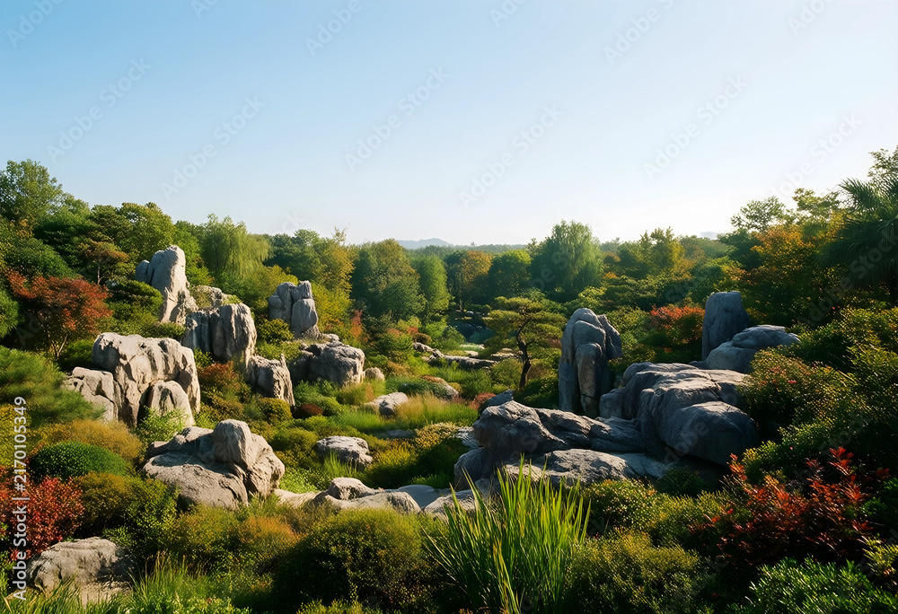 Fototapeta premium Nature landscape with rocks and lush green foliage, environmental conservation and outdoor tranquility, natural beauty and ecosystem