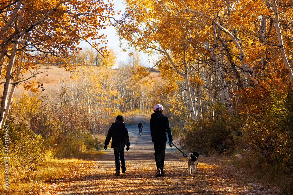 Obraz premium Two young boys walking with their dog along a footpath in a park on a sunny Autumnal day