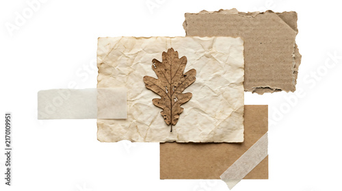 Dry oak leaf resting on wrinkled aged parchment paper with layered cardboard scraps and adhesive tape pieces on transparent background