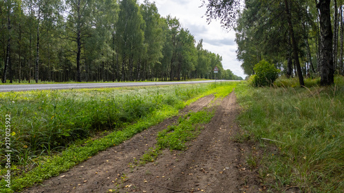 Canvas Print Fire Barrier Ground Strip Dug Between Country Highway and Dense Woodland