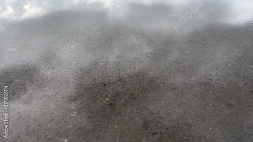 Expanding Concentric Raindrop Ripples in a Shallow Puddle on Wet Asphalt with Cloud Reflection