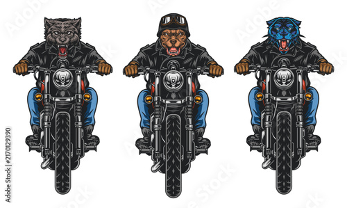 vector illustration