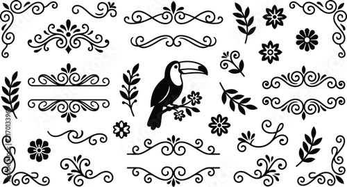 Vintage decorative calligraphic frames set featuring toucan bird floral elements and flourishes