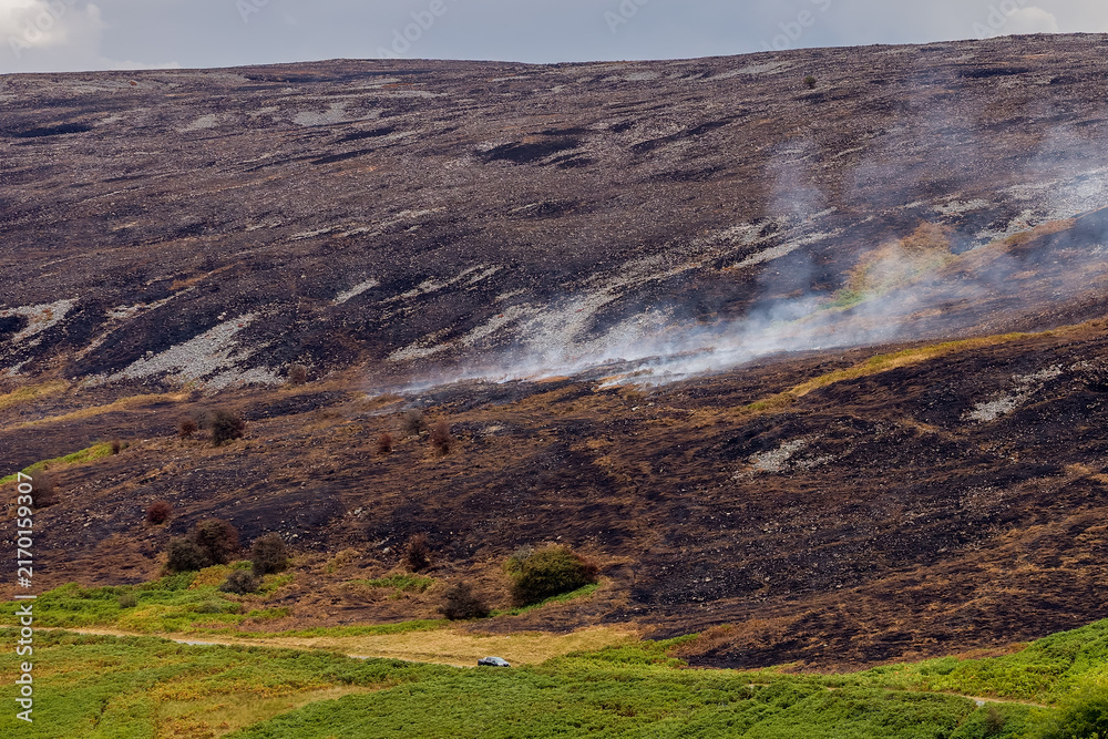 Obraz premium Smoke rising from charred hillside after wildfire on Llangynidr Moors, Brecon Beacons, blackened moorland sloping down to green bracken in South Wales