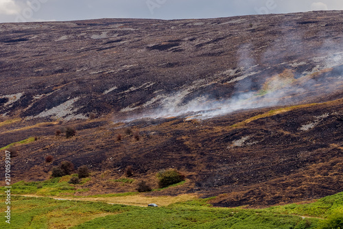 Принти на полотні Smoke rising from charred hillside after wildfire on Llangynidr Moors, Brecon Be