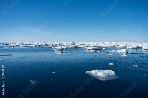 Canvas Print Icebergs floating at the edge of the sea ice above Svalbard, Norway