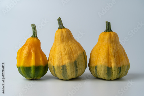 Canvastavla Three decorative yellow and green ornamental gourds arranged in a row on a clean light gray background