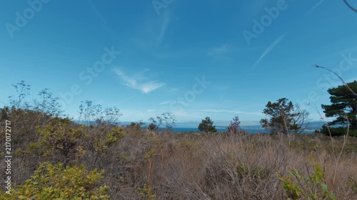View of Point Lobos, California,