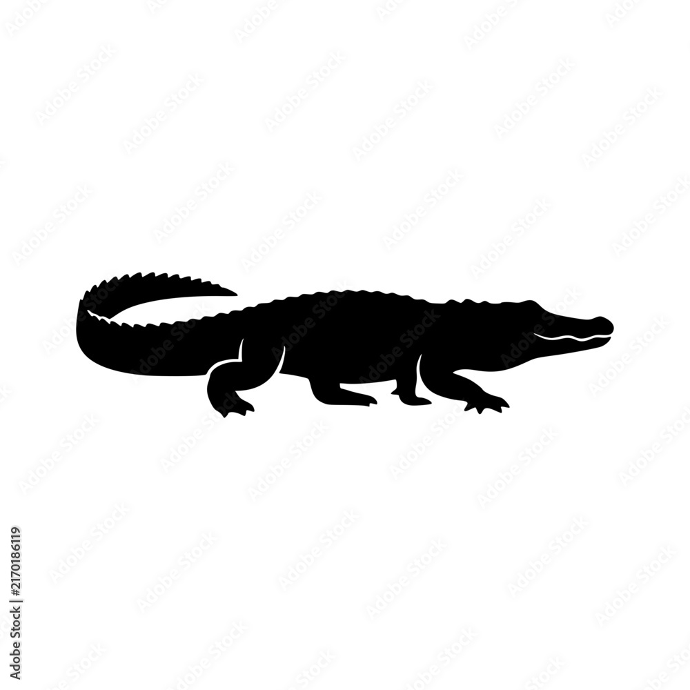 Fototapeta premium Crocodile walking silhouette vector illustration