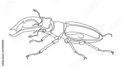 Stag Beetle Line Art Isolated on White Background Minimalist Insect Drawing