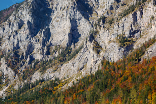 Early autumn in the mountains