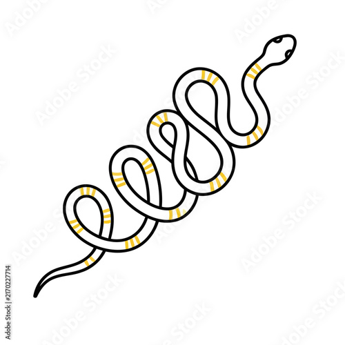 Stylized Snake Illustration