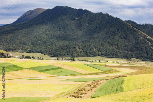 Patchwork agricultural fields lie in a valley below a dense forested mountain under a partly cloudy sky.