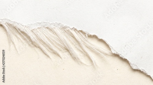 Close-up detail of a ragged torn white paper edge revealing fibrous texture against a neutral background