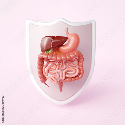 Foto Human anatomy digestive system with shield