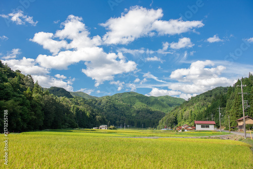 里山と田園風景