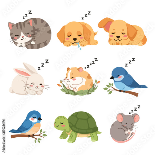 Sleeping Animals Illustration Set for Children Design Projects