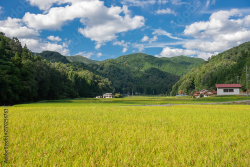 里山と田園風景