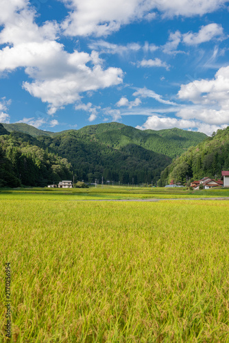 Obraz na płótnie 里山と田園風景