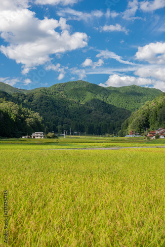 里山と田園風景