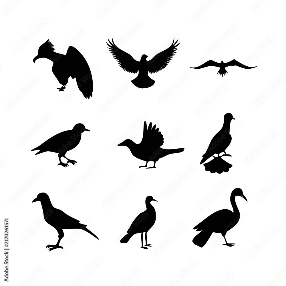 Obraz premium A group of various bird silhouettes including flying and perched birds on a plain white... wings des