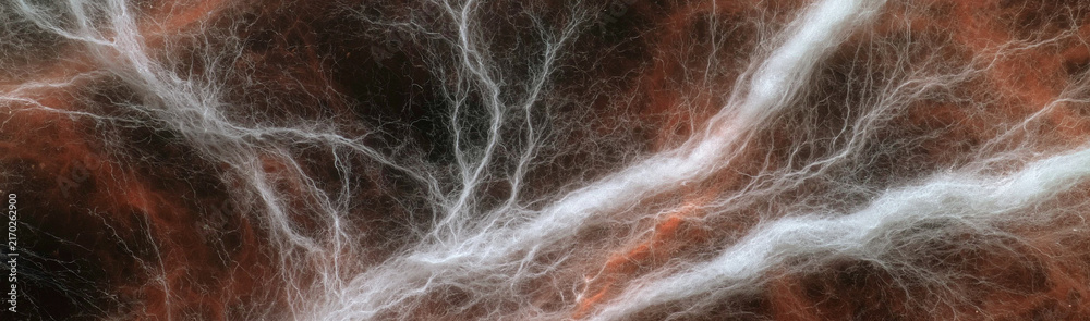 Fototapeta premium Abstract Organic Texture: A mesmerizing abstract composition resembling organic patterns, with intricate networks of white and rust-colored fibers creating a sense of depth and movement.
