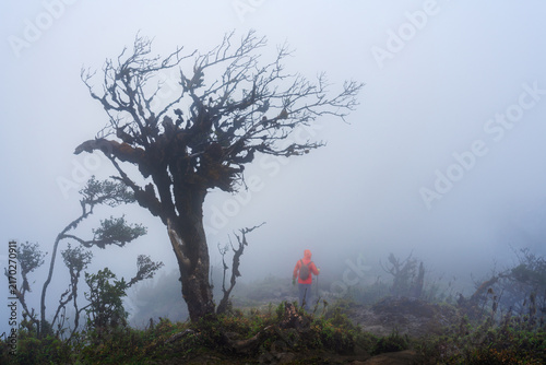 Hiker in Red Jacket Walking Through Foggy Mountain Landscape in Vietnam