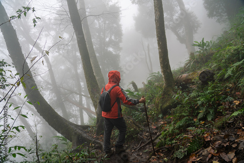 Hiker trekking through a foggy mountain forest in Vietnam