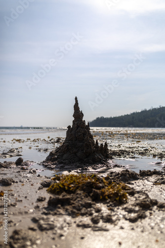 Obraz na płótnie Sandcastle on a sandy beach at low tide
