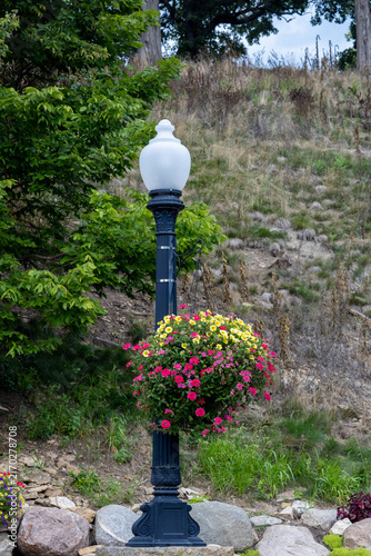 Photography Close up view of a street light near the hillside of a public park, with colorfu