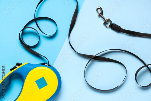 Canvastavla Retractable dog leash with lead on color background